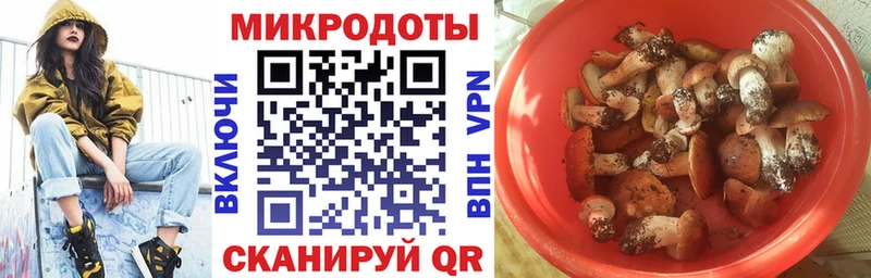 наркота  Шагонар  ссылка на мегу зеркало  Псилоцибиновые грибы Psilocybine cubensis 